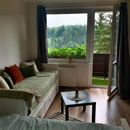 Apartmánek Protěž Janské Lázně Kültér fotó