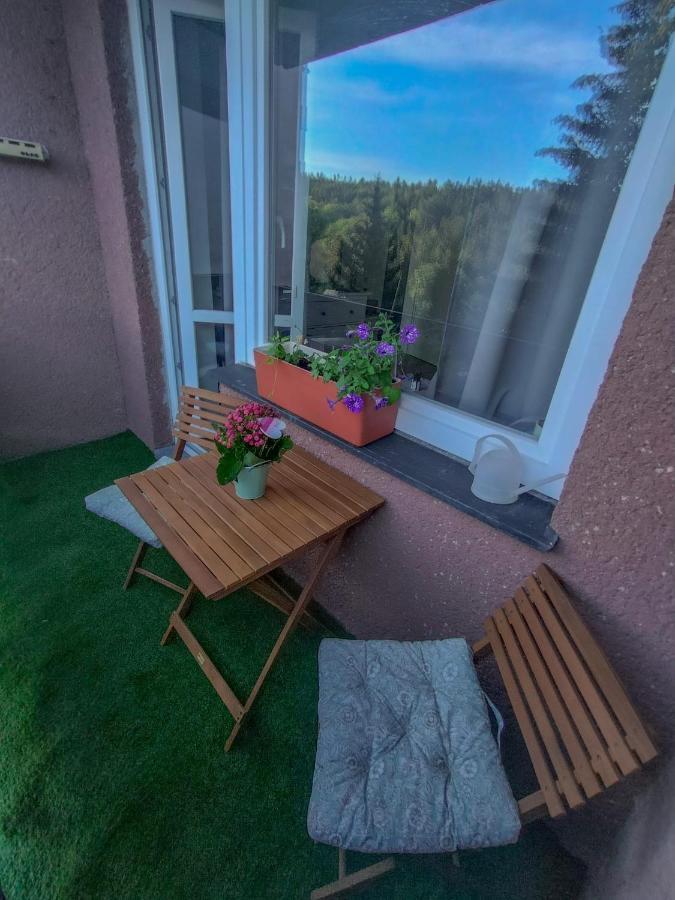 Apartmánek Protěž Janské Lázně Kültér fotó