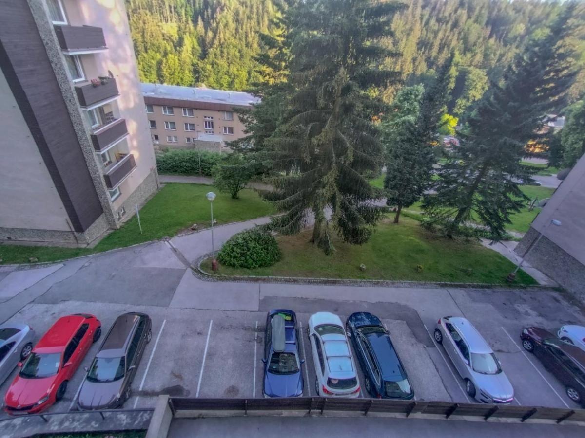 Apartmánek Protěž Janské Lázně Kültér fotó