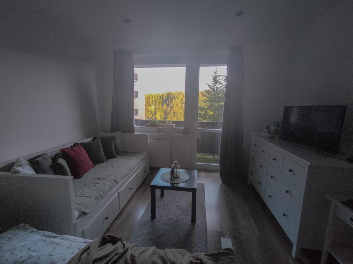 Apartmánek Protěž Janské Lázně Kültér fotó