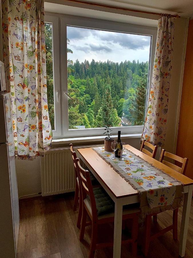 Apartmánek Protěž Janské Lázně Kültér fotó