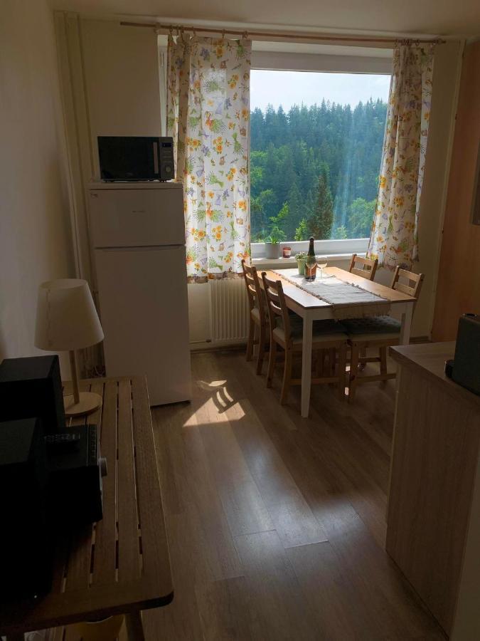 Apartmánek Protěž Janské Lázně Kültér fotó